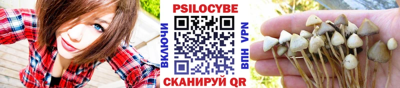 Галлюциногенные грибы мицелий Сосновоборск